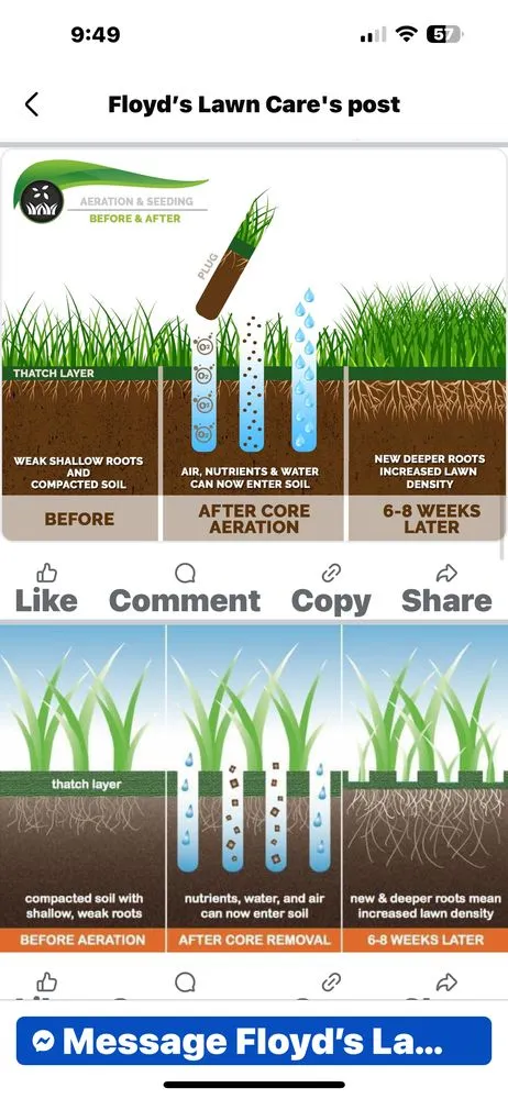 Professional yard cleanup service experts serving Webster, NY - Harvest Walk Lawn Rolling & Aeration