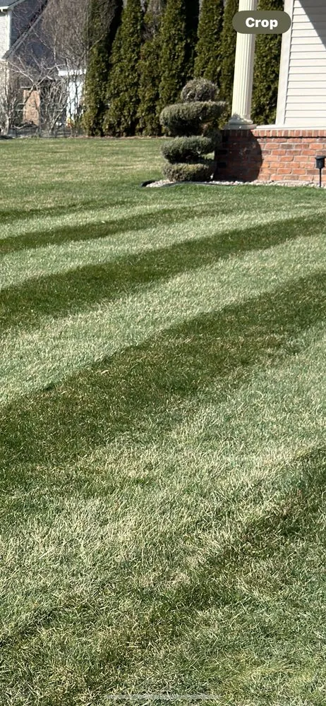 Reliable yard maintenance experts serving Webster, NY - Harvest Walk Lawn Rolling & Aeration