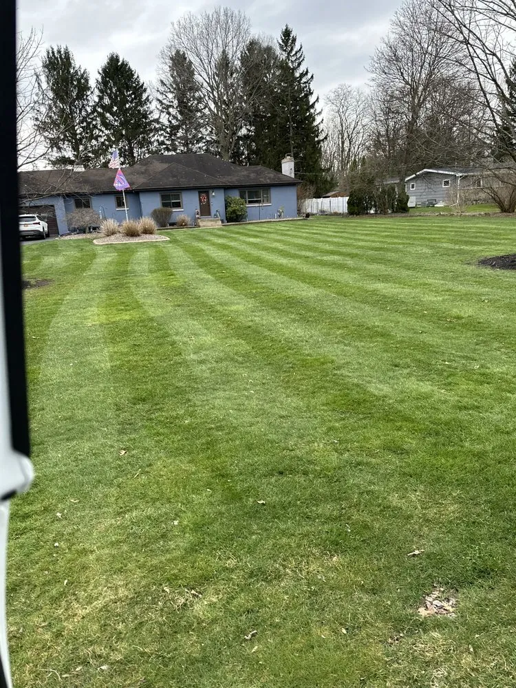 Trusted yard maintenance experts serving Webster, NY - Harvest Walk Lawn Rolling & Aeration