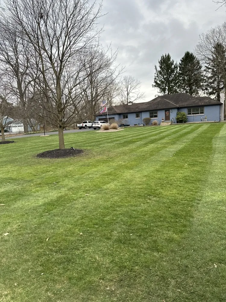 Custom landscape design in Webster, NY - Harvest Walk Lawn Rolling & Aeration