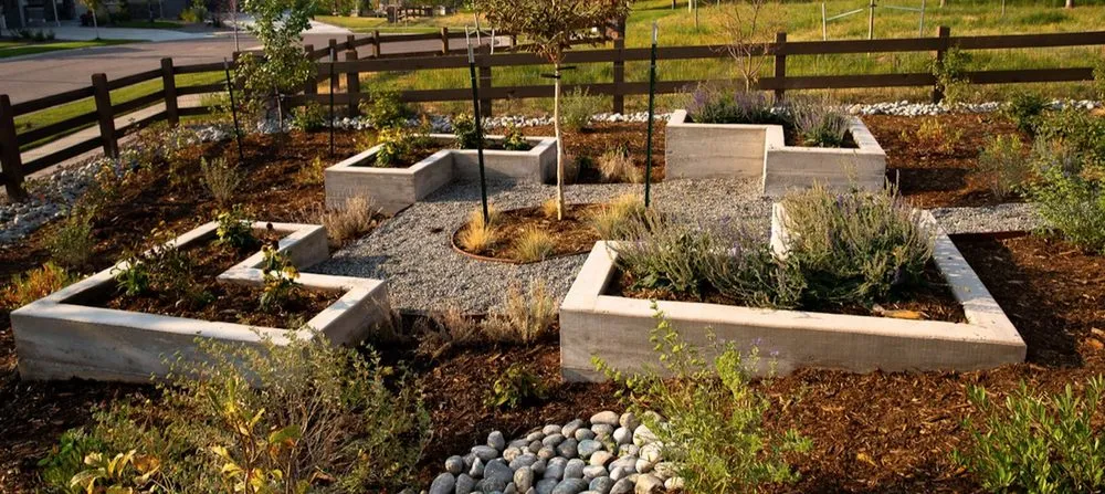 Affordable lawn care service experts serving Denver, CO - Harvester Landscapes