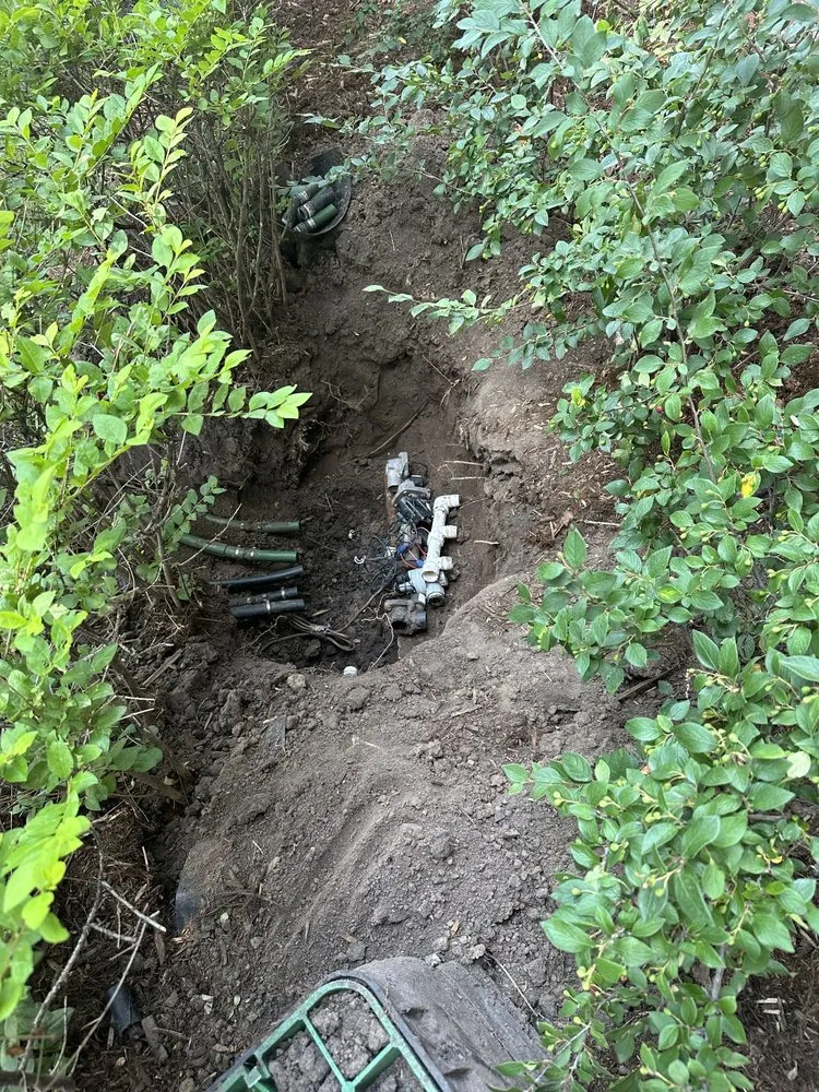 Top-rated lawn mowing service in Denver, CO - Harvester Landscapes