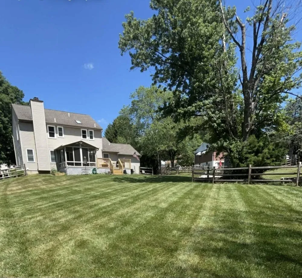 Top-rated yard cleanup service experts serving Marcus Hook, PA - Harvey Landscapes