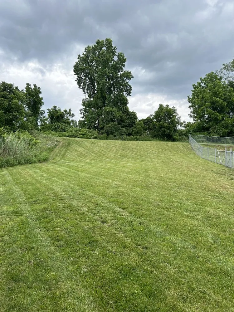 Trusted yard cleanup service for homes in Marcus Hook, PA by Harvey Landscapes