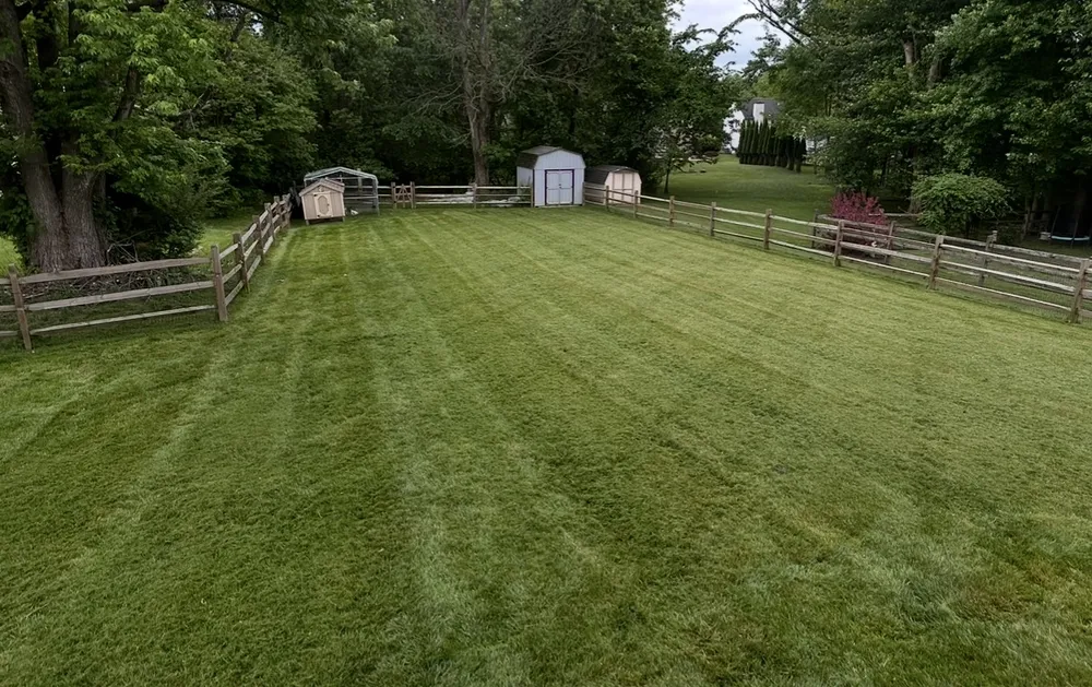 Expert yard maintenance for beautiful yards across Marcus Hook, PA - Harvey Landscapes