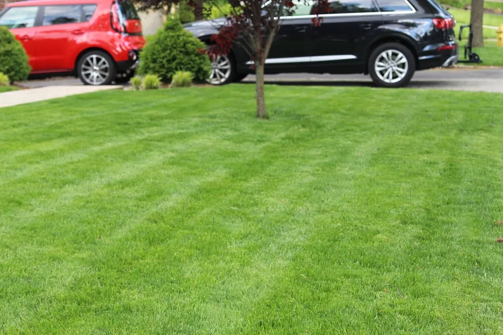 Top-rated landscape design for year-round maintenance across Cincinnati, OH - Harvey Landscaping