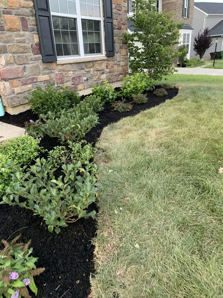 Expert yard maintenance in Cincinnati, OH - Harvey Landscaping