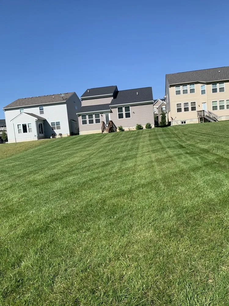 Professional landscape design experts serving Cincinnati, OH - Harvey Landscaping