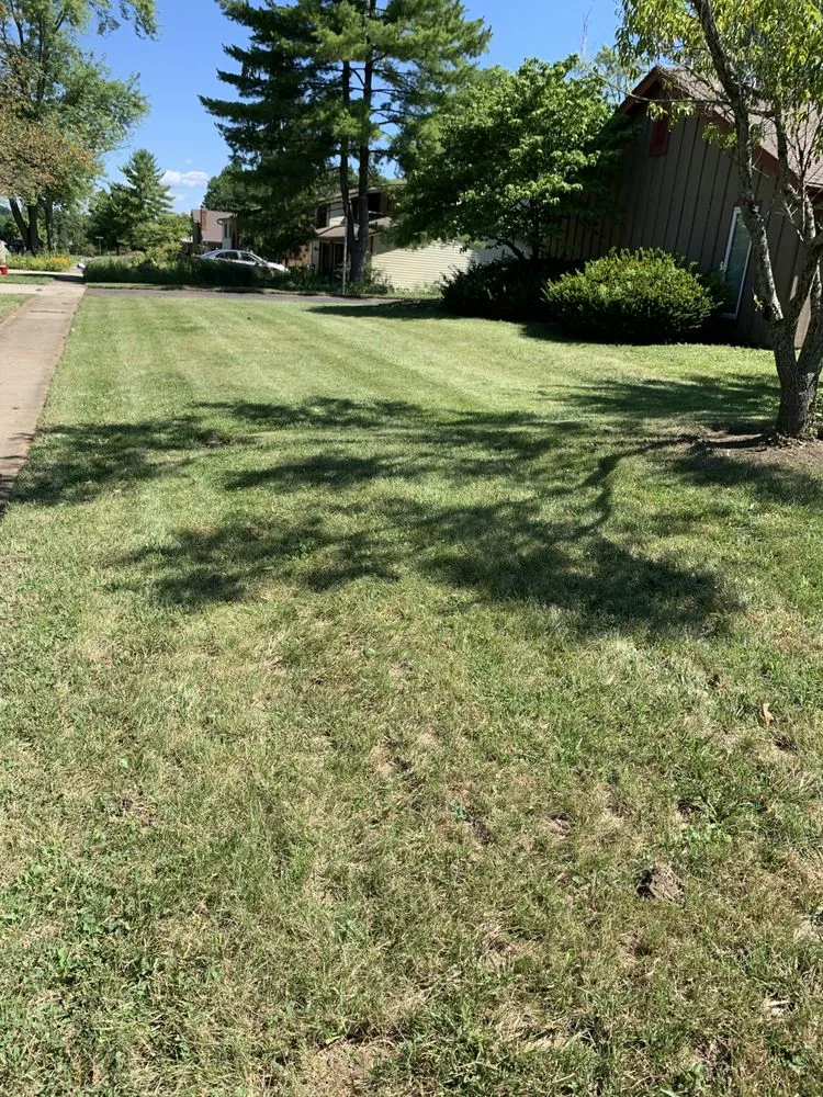 Local yard cleanup service experts serving Cincinnati, OH - Harvey Landscaping