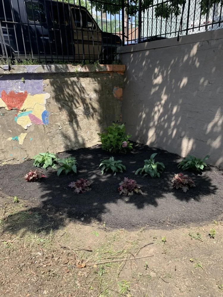 Local lawn mowing service near you across Cincinnati, OH - Harvey Landscaping