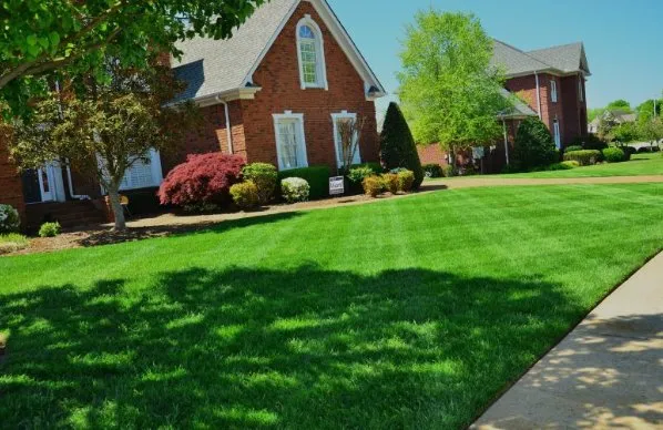 Reliable landscape installation in Lena, MS - Harvey Lawn Care