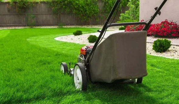 Top-rated yard cleanup service in Lena, MS by Harvey Lawn Care