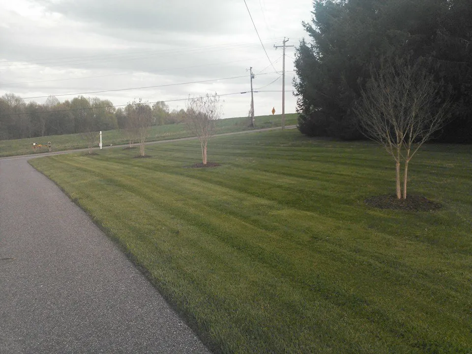 Professional landscape design for outdoor upgrades across Upperco, MD - Harvey's Outside Services