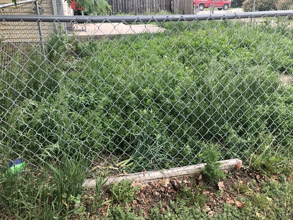 Expert lawn care service in Minden, NE by Hasbrouck Lawn Care