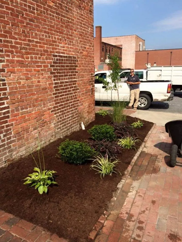 Expert landscaping services in Washington, NC by Haselden Landscape & Design