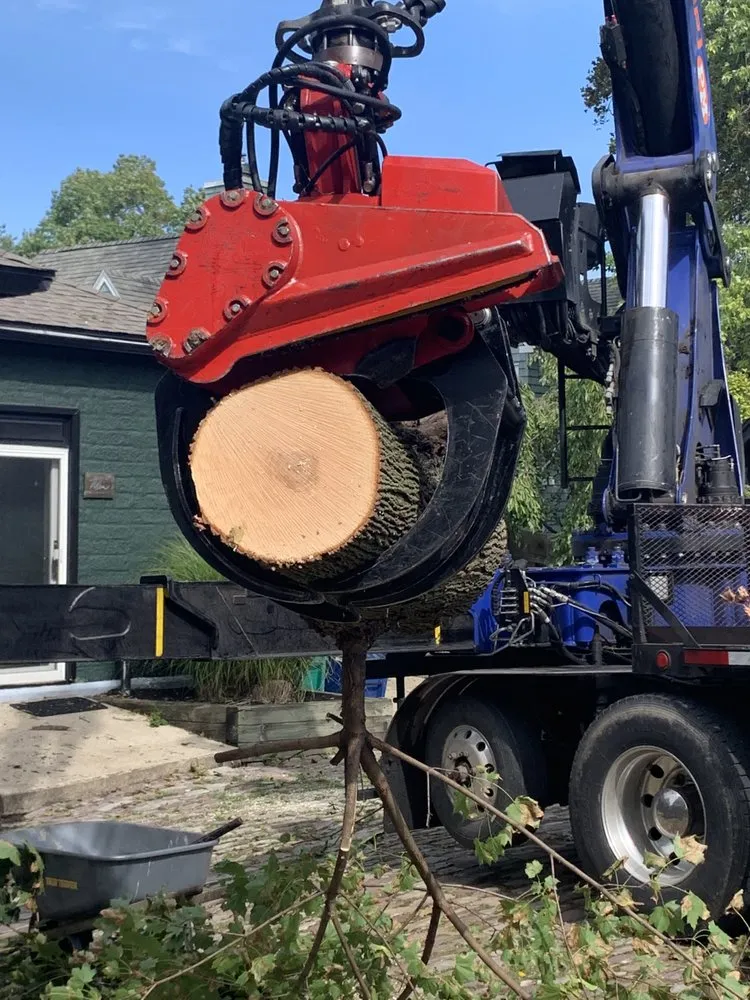 Professional yard cleanup service for residential properties across West Falls, NY - Haskell Tree Service