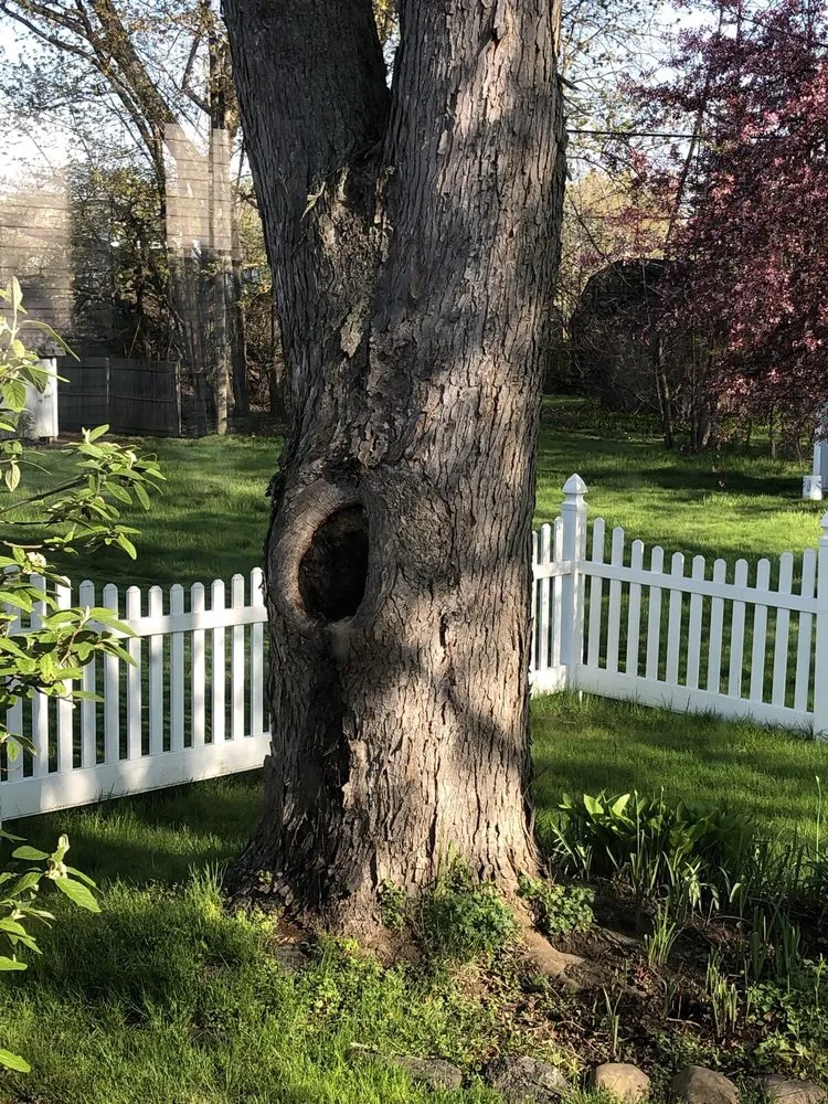 Trusted lawn mowing service for beautiful yards across West Falls, NY - Haskell Tree Service