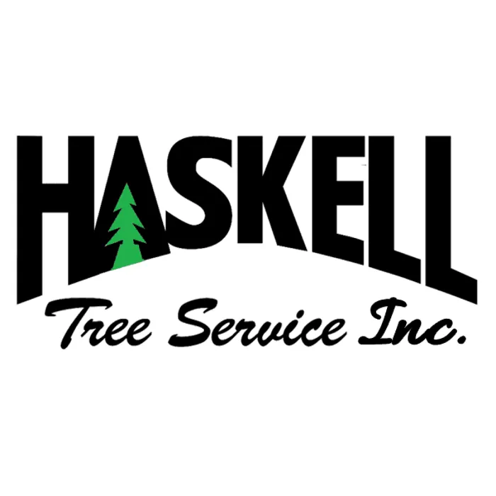 Reliable residential landscaping with custom design in West Falls, NY by Haskell Tree Service
