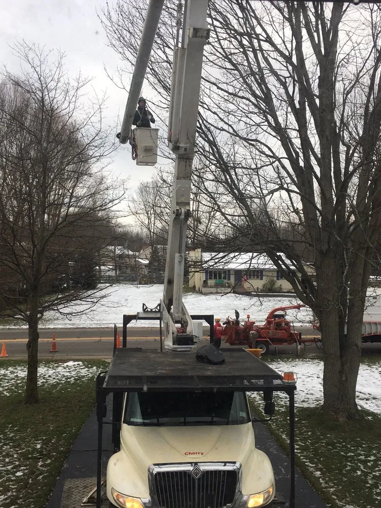 Expert outdoor landscaping experts serving West Falls, NY - Haskell Tree Service