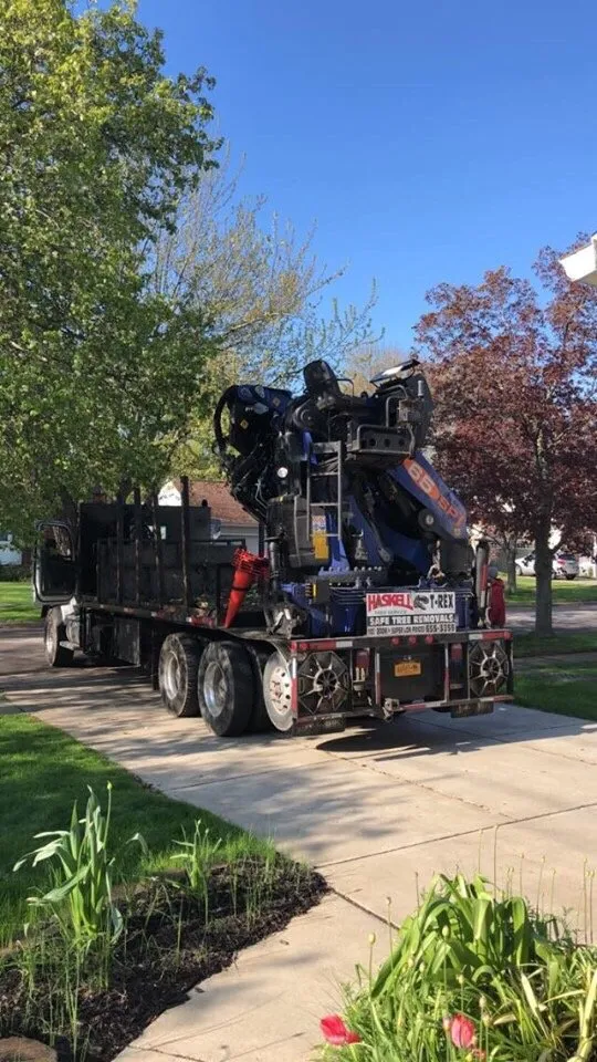 Professional outdoor landscaping for residential properties across West Falls, NY - Haskell Tree Service
