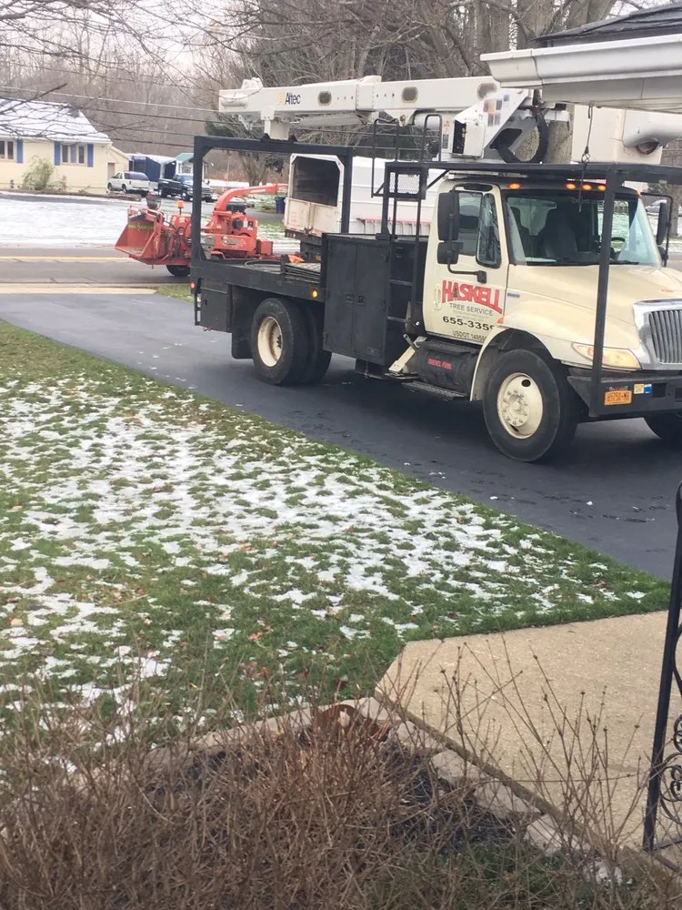Local landscape installation experts serving West Falls, NY - Haskell Tree Service