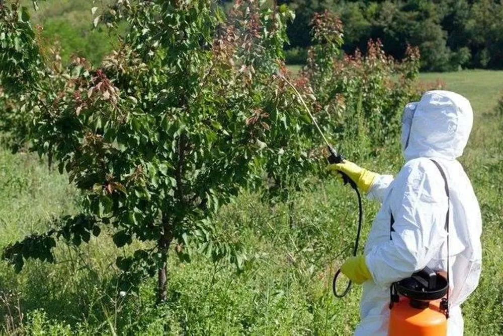 Trusted landscape design in West Falls, NY - Haskell Tree Service