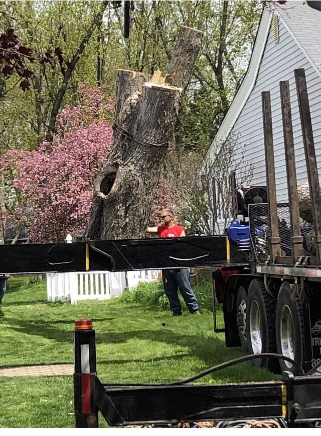 Reliable lawn mowing service for homes across West Falls, NY - Haskell Tree Service