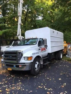 Haskell Tree Service Logo