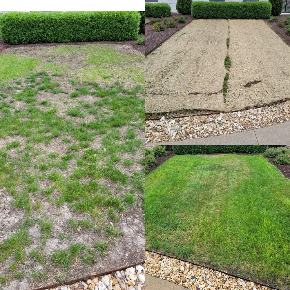Trusted outdoor landscaping in Dubuque, IA by Hasken Lawn Care