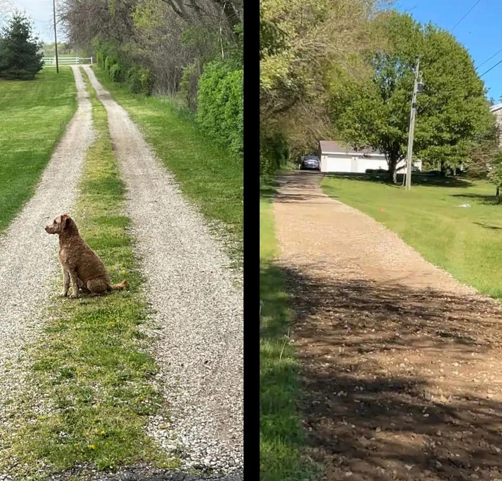 Trusted landscape installation with custom design in Saranac, MI by Haskins Excavation and Landscape