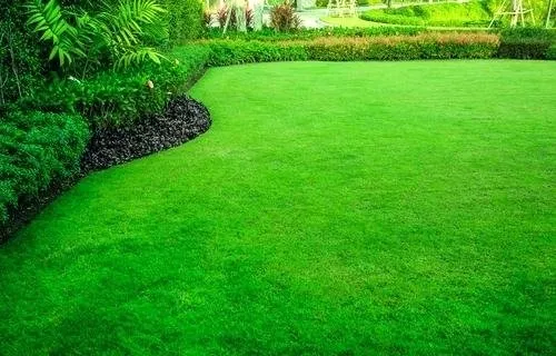 Local residential landscaping experts serving Plymouth, MN - HASSLE FREE Lawns