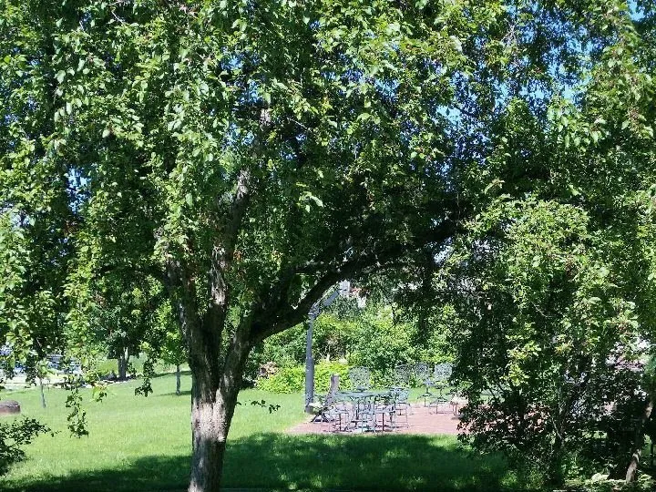 Reliable residential landscaping in Plymouth, MN by HASSLE FREE Lawns