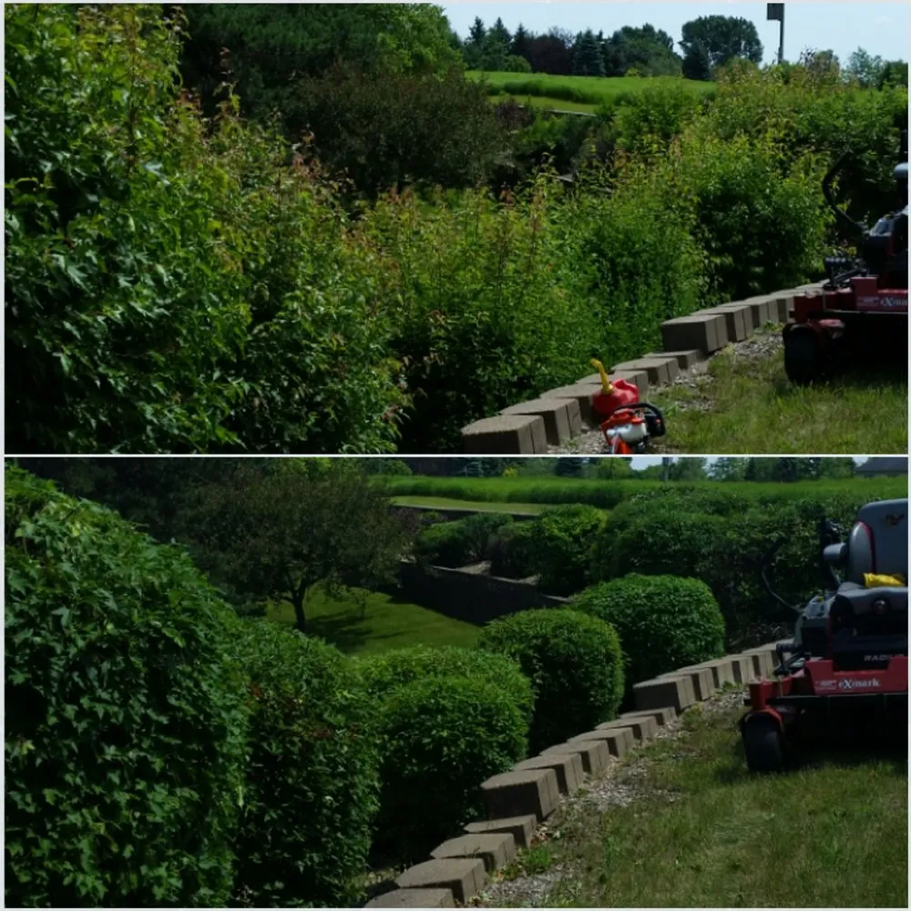 Local yard cleanup service in Plymouth, MN - HASSLE FREE Lawns