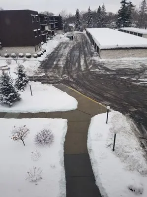 HASSLE FREE Lawns Logo