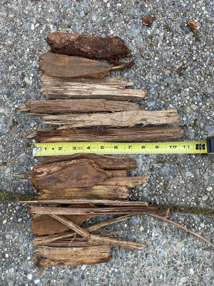 Local landscape installation in West Sacramento, CA by Hastie's Capitol Sand & Gravel