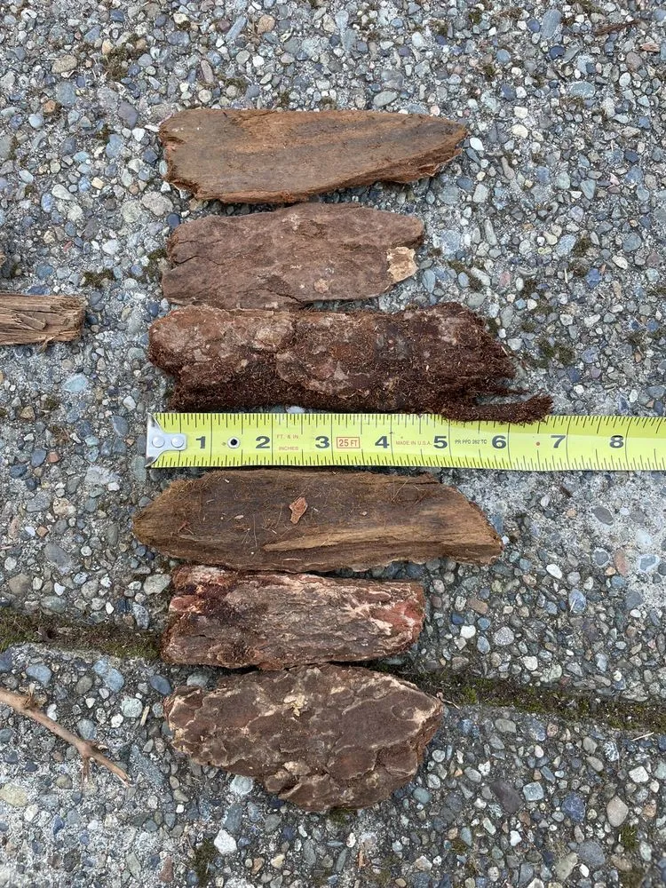 Expert landscape installation in West Sacramento, CA by Hastie's Capitol Sand & Gravel