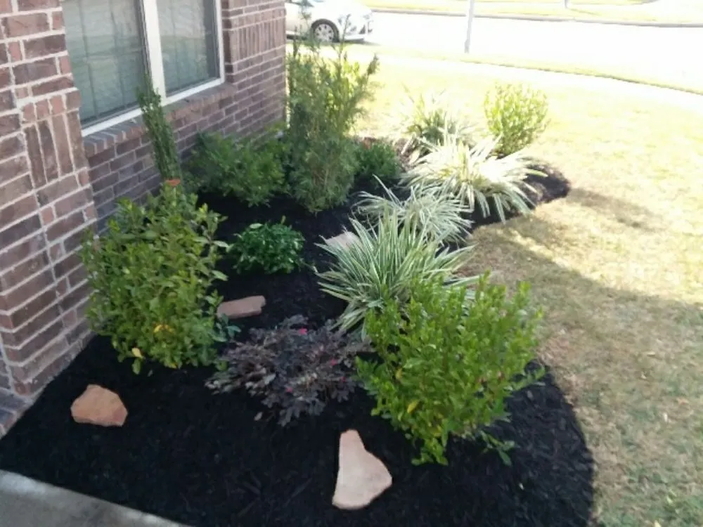 Professional yard maintenance for outdoor upgrades in New Caney, TX by Hastings Curb Appeal