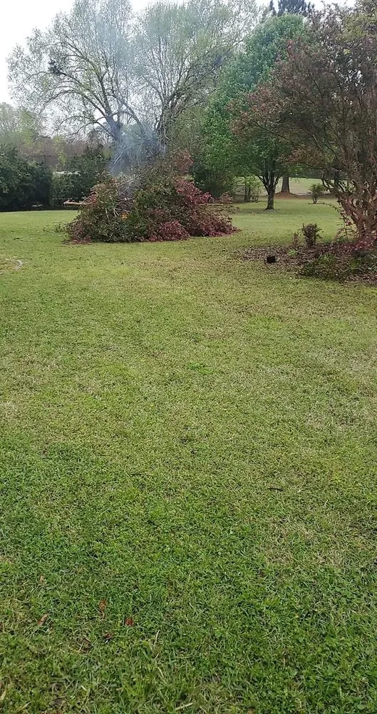 Trusted garden landscaping experts serving Sumter, SC - Hat Trick Property Management