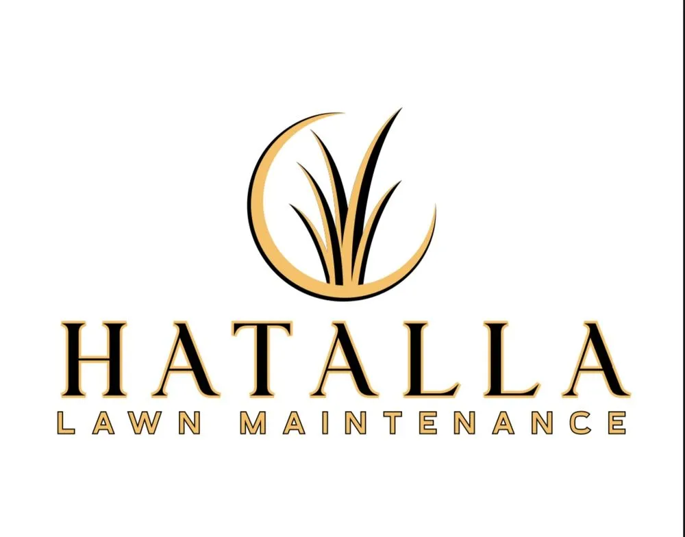 Affordable yard cleanup service near you in Virden, IL by Hatalla Lawn Maintenance