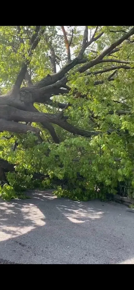 Local outdoor landscaping near you in St. Louis, MO by Hatcher Worx