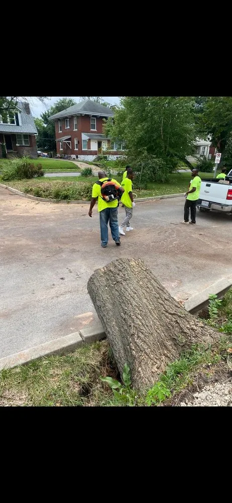 Affordable outdoor landscaping in St. Louis, MO - Hatcher Worx