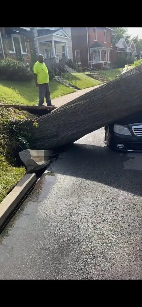 Top-rated landscape installation experts serving St. Louis, MO - Hatcher Worx