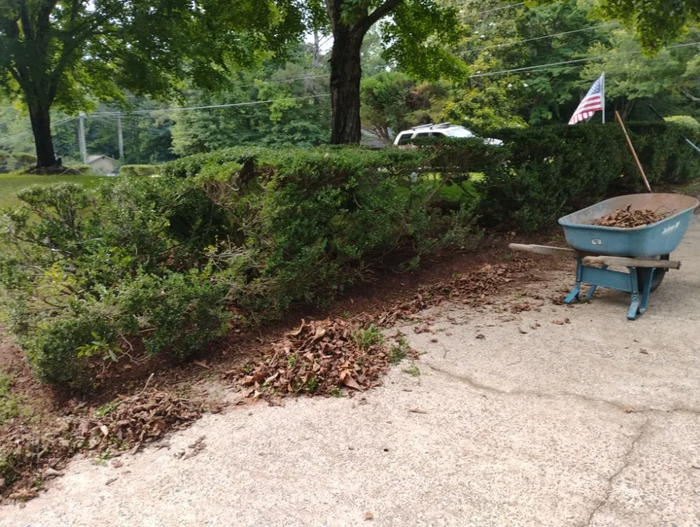 Trusted yard maintenance for residential properties in Ball Ground, GA by Hatermade Lawn Care and Mobile Detailing