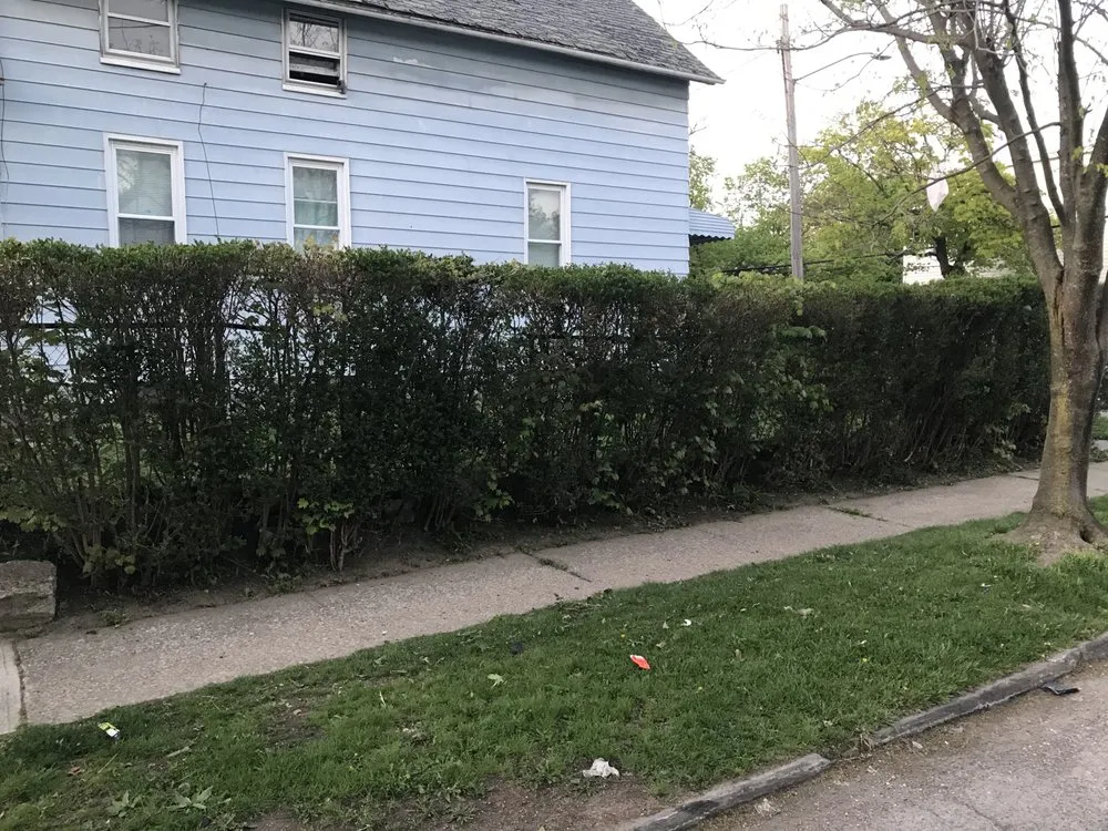 Professional landscape design in Cleveland, OH - Hatfields Lawn Care