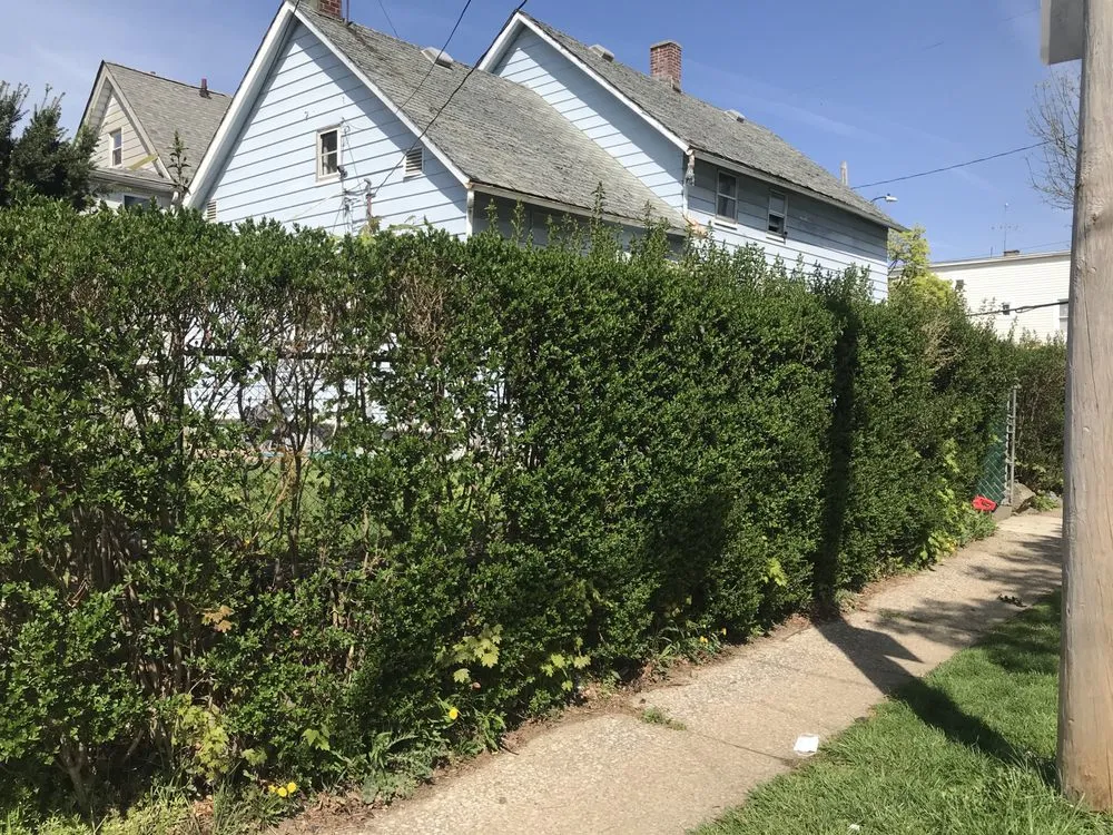 Affordable yard cleanup service for outdoor upgrades in Cleveland, OH by Hatfields Lawn Care