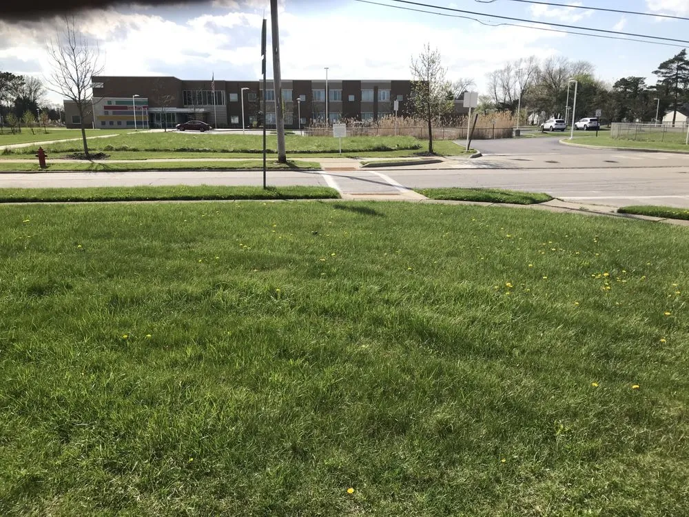 Local yard cleanup service in Cleveland, OH by Hatfields Lawn Care