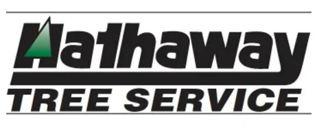 Reliable landscape design for homes in Rochester, MN by Hathaway Tree Service