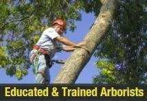 Custom landscape design for residential properties across Rochester, MN - Hathaway Tree Service