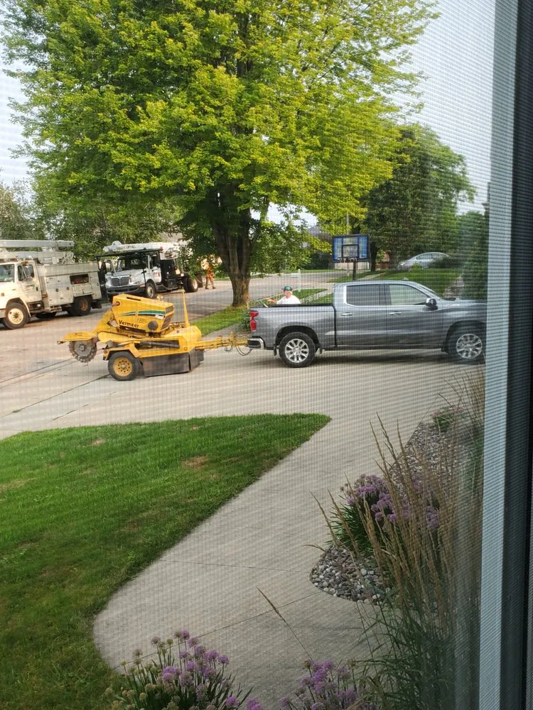 Professional yard cleanup service in Rochester, MN by Hathaway Tree Service