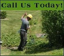 Hathaway Tree Service Logo